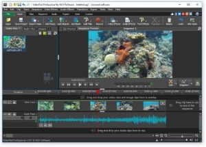 VideoPad Video Editor Pro 11.01 Crack 2022 Free Download up2pc.org