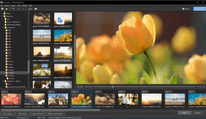 WnSoft PTE AV Studio Pro Crack